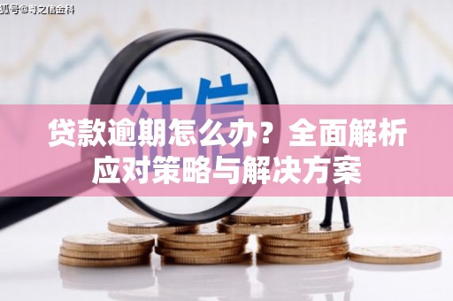 定西贷款逾期怎么办？全面解析应对策略与解决方案
