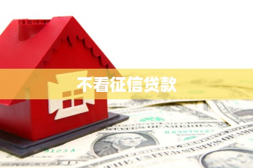 定西不看征信贷款