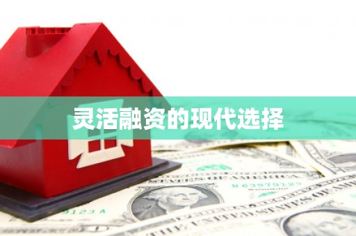 定西灵活融资的现代选择