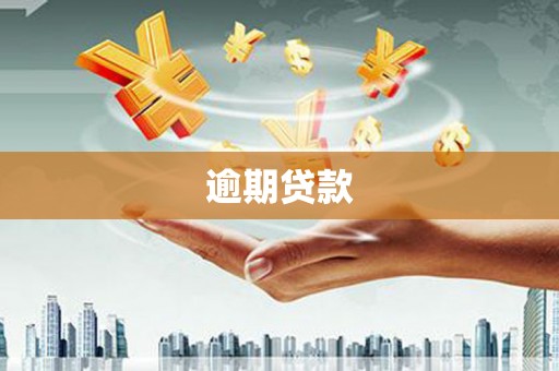 定西逾期贷款