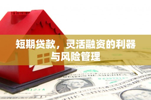 定西短期贷款，灵活融资的利器与风险管理